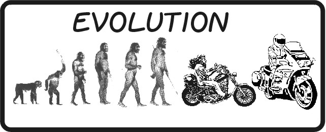 evolution.jpg (47092 Byte)
