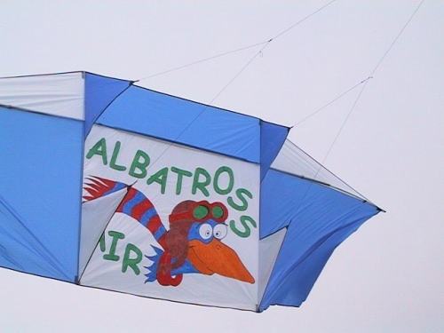 albatross_genki2.jpg (20500 Byte)